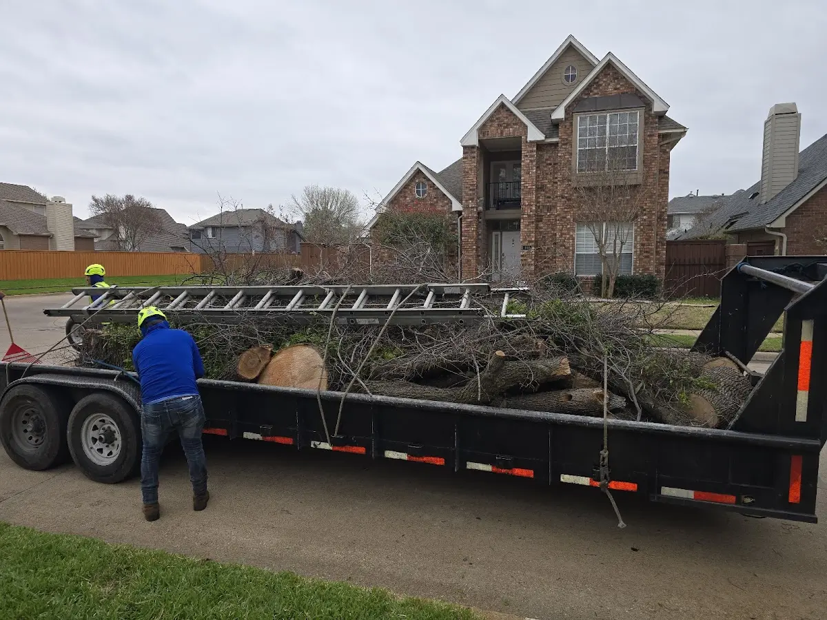Expert Tree Fertilization with proper safety equipment in Onida